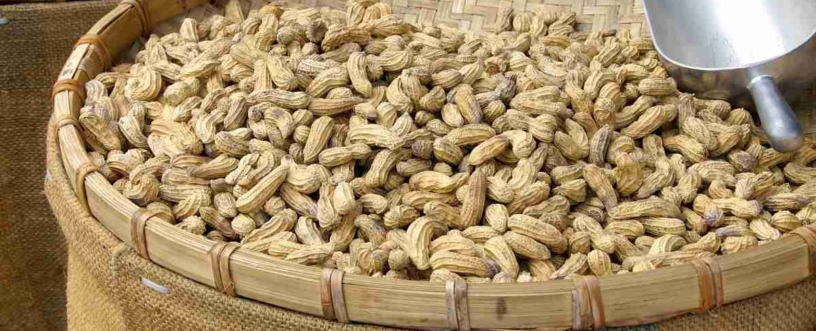 Boiled Peanuts Calories